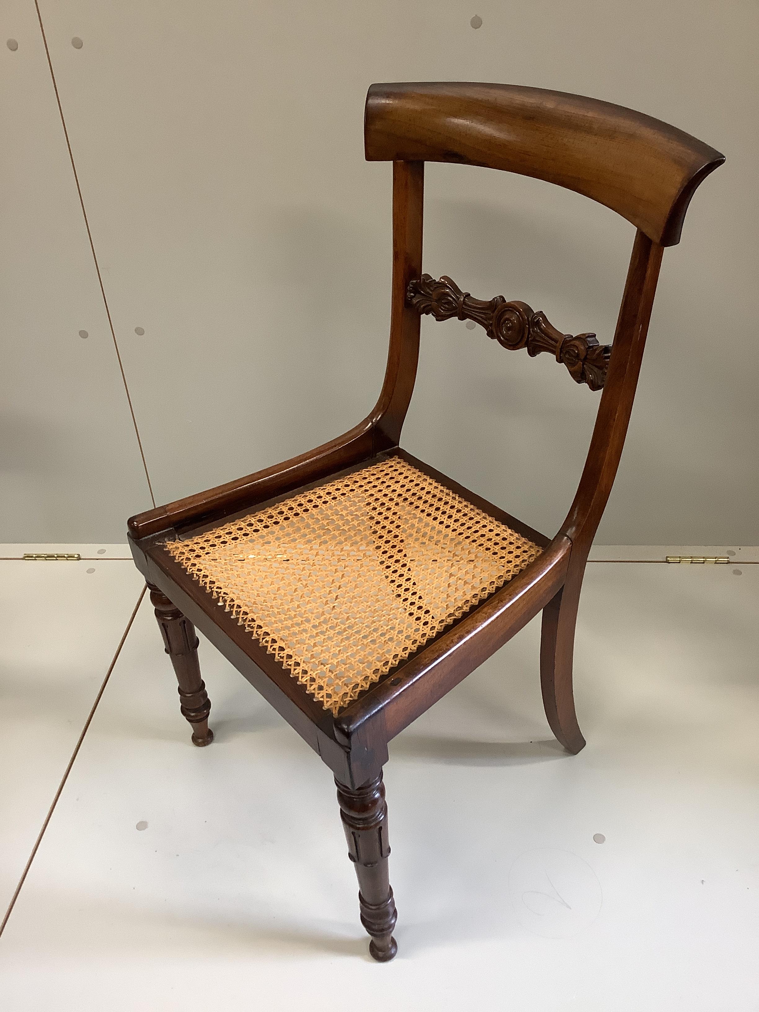 A set of six William IV rosewood cane seat dining chairs, with squab cushion seats, width 44cm, height 87cm